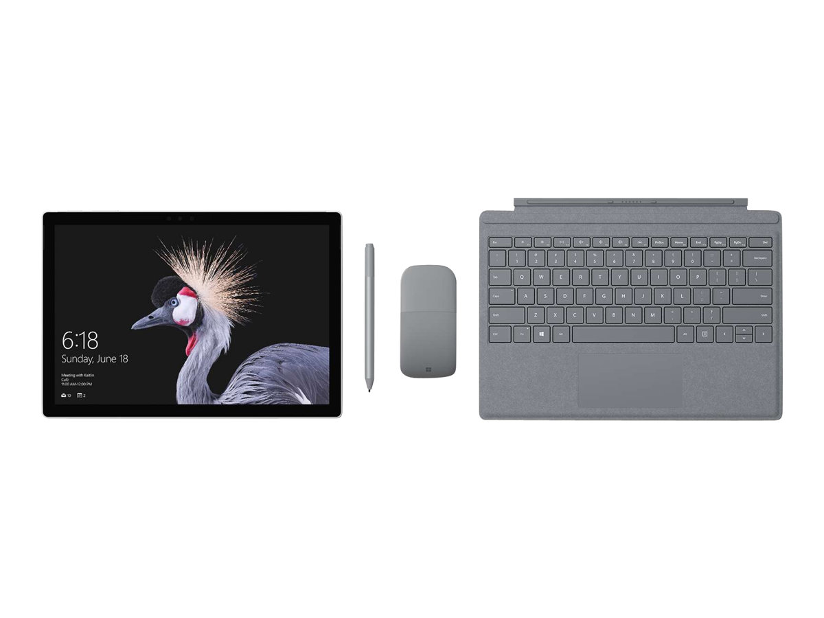 SURFACE PRO11 13 PLS/16/256