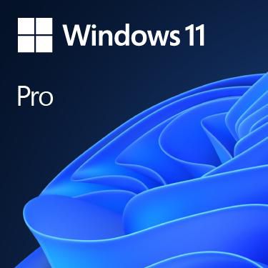 Win 11 Pro 64Bit EN DVD